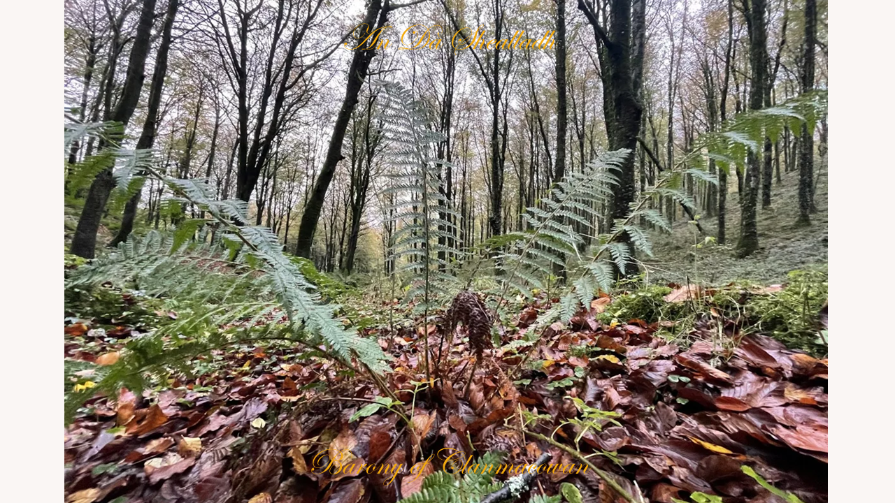 Imbas forosnai, An Dà Shealladh, The romantic Barony of Clanmacowan, Galway, in the heart of Ireland