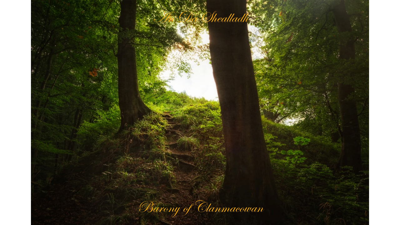 An dà shealladh – A Gift of Tuatha Dà Danann, Barony of Clanmacowan, Galway, Ireland